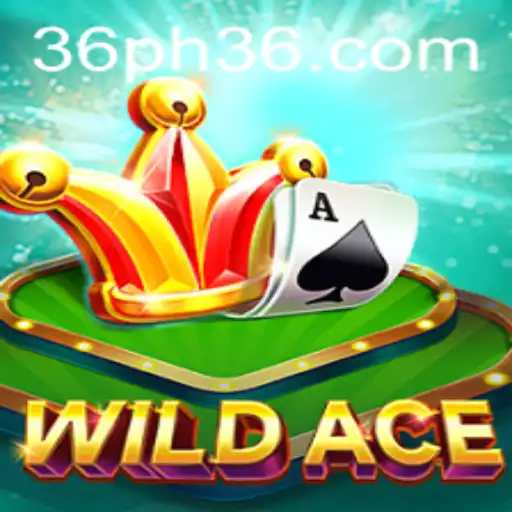 Unveiling the Exciting World of WildAce: A New Era in Gaming